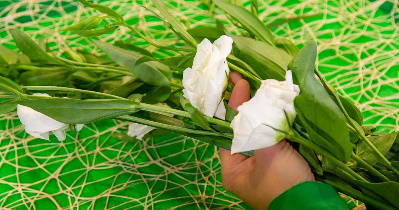 servicios-de-floristeria-para-gipuzkoa